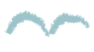bird-1